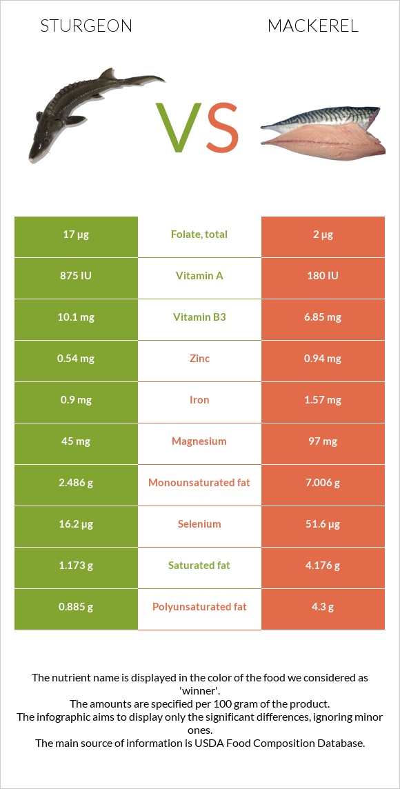 Sturgeon vs Mackerel infographic