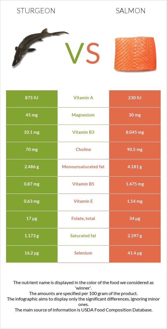 Sturgeon vs Սաղմոն infographic