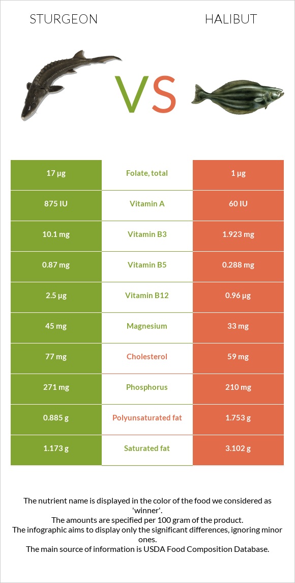 Sturgeon vs Halibut infographic