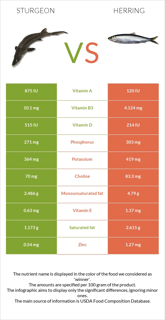 Sturgeon vs Herring infographic