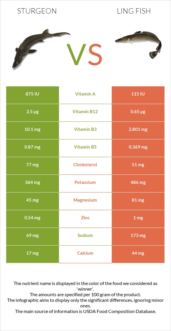 Sturgeon vs Ling fish infographic