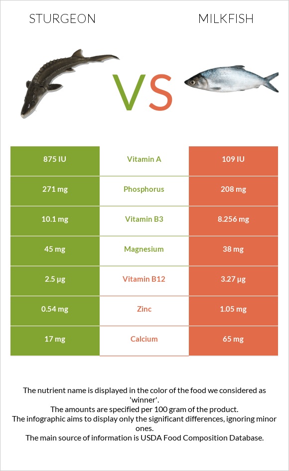 Sturgeon vs Milkfish infographic