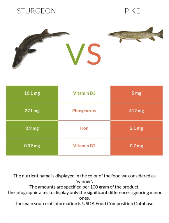 Sturgeon vs Pike infographic