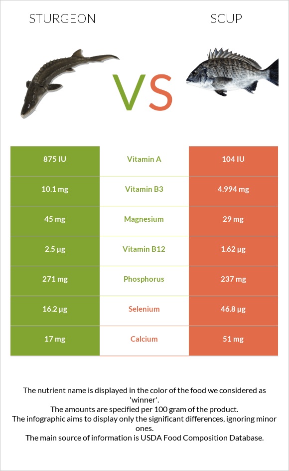 Sturgeon vs Scup infographic