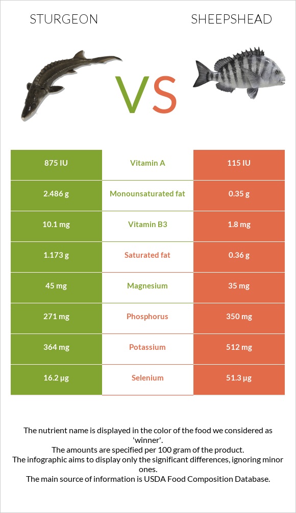 Sturgeon vs Sheepshead infographic