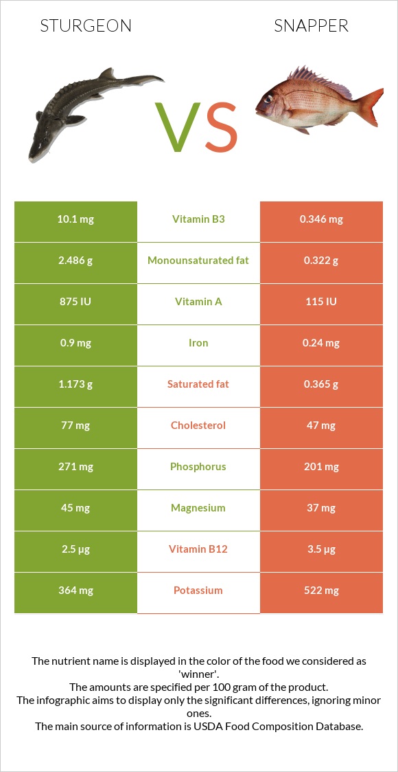 Sturgeon vs Snapper infographic