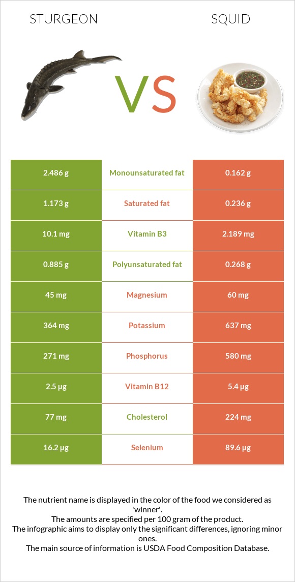 Sturgeon vs Տապակած կաղամար infographic