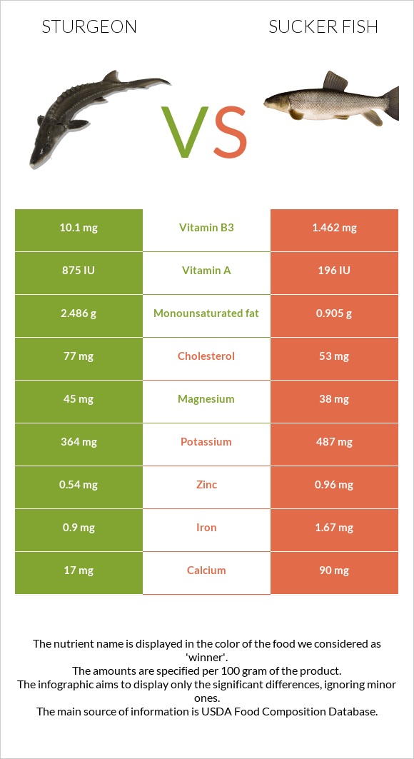 Sturgeon vs Sucker fish infographic
