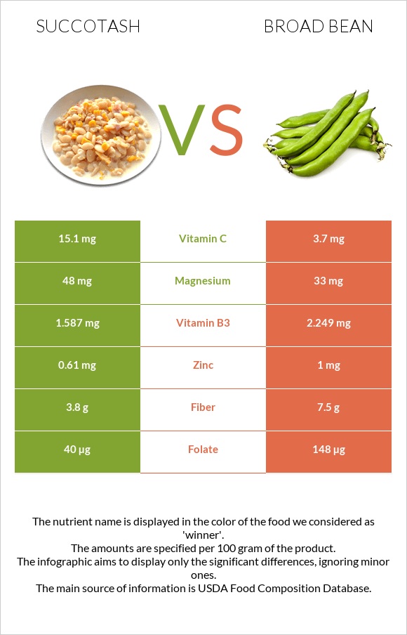 Succotash vs Broad bean infographic