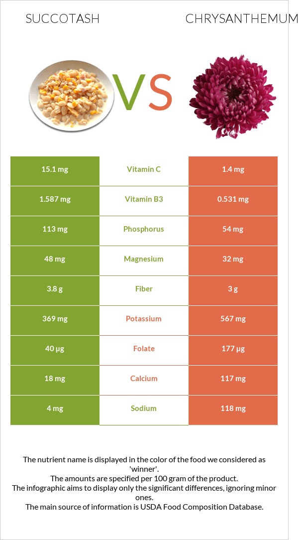 Succotash vs Chrysanthemum infographic