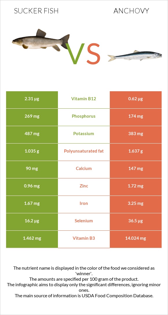 Sucker fish vs Anchovy infographic