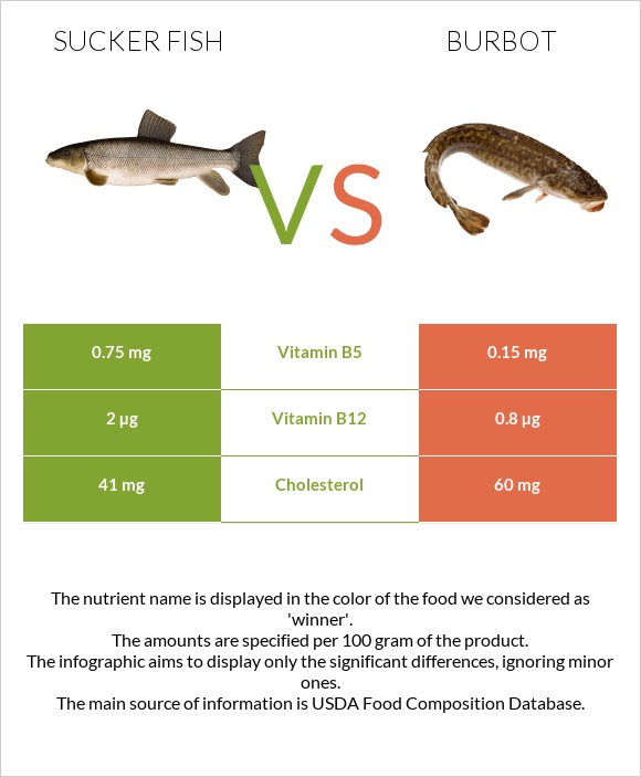 Sucker fish vs Burbot infographic