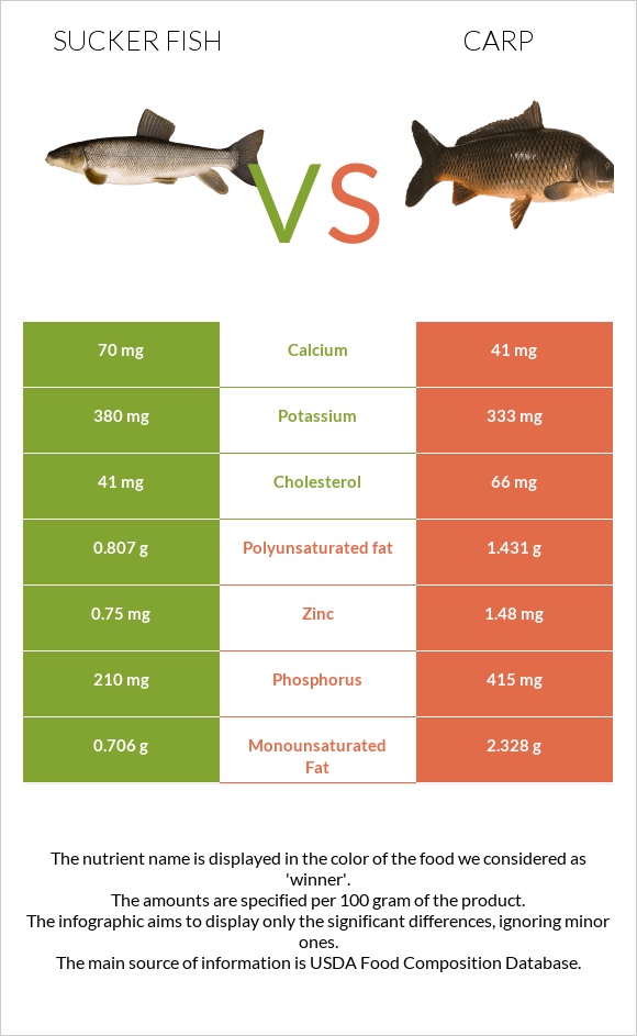 Sucker fish vs Carp infographic