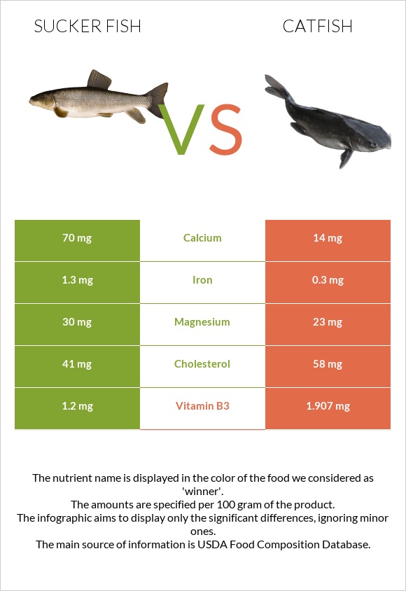 Sucker fish vs Catfish infographic