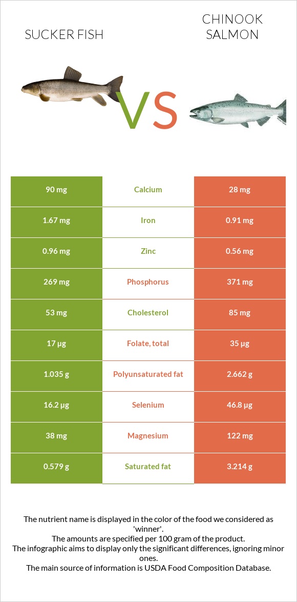 Sucker fish vs Chinook salmon infographic