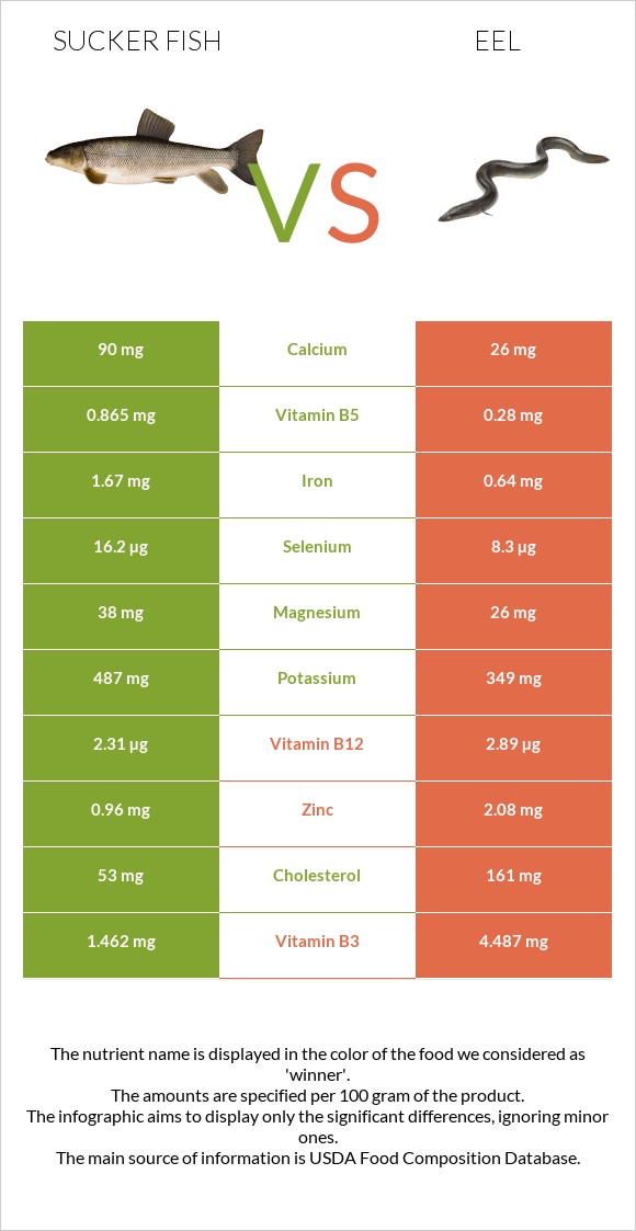 Sucker fish vs Eel infographic