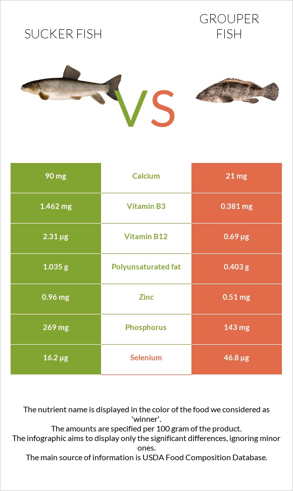 Sucker fish vs Grouper fish infographic