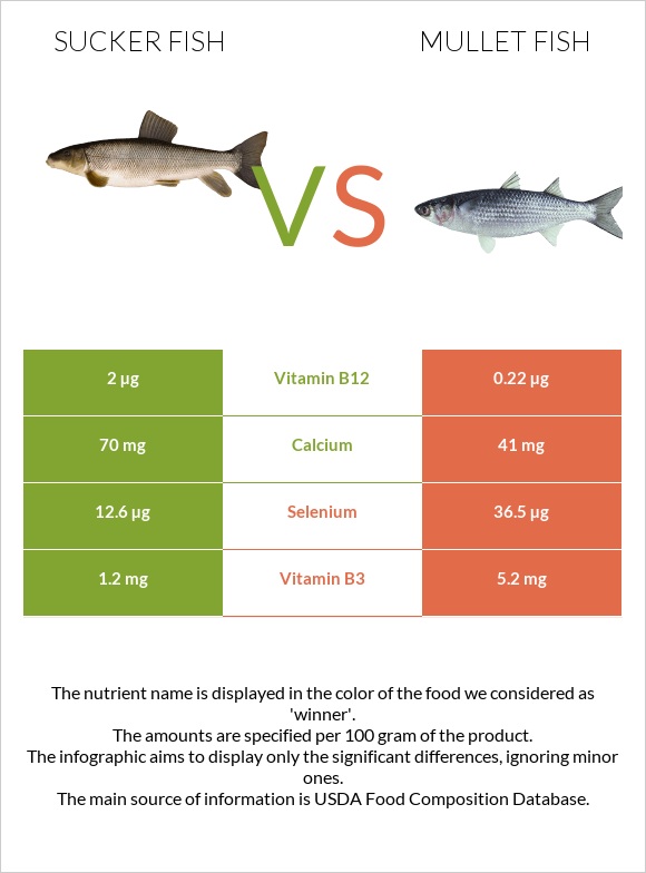 Sucker fish vs Mullet fish infographic