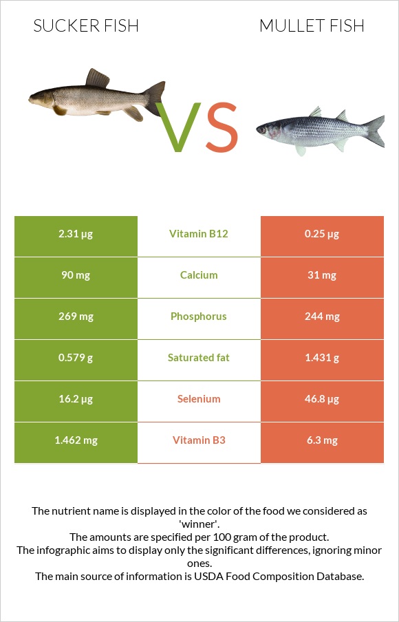 Sucker fish vs Mullet fish infographic