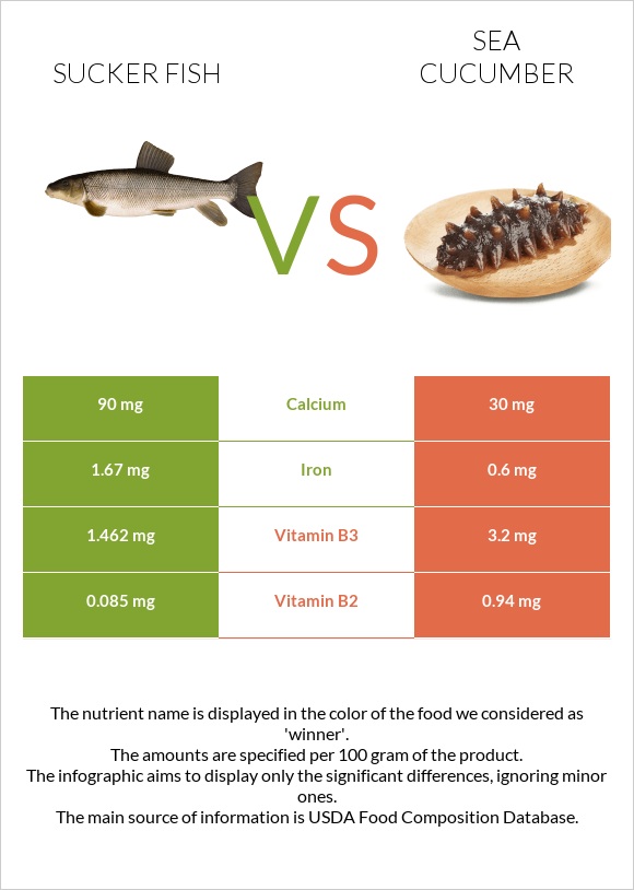 Sucker fish vs Sea cucumber infographic