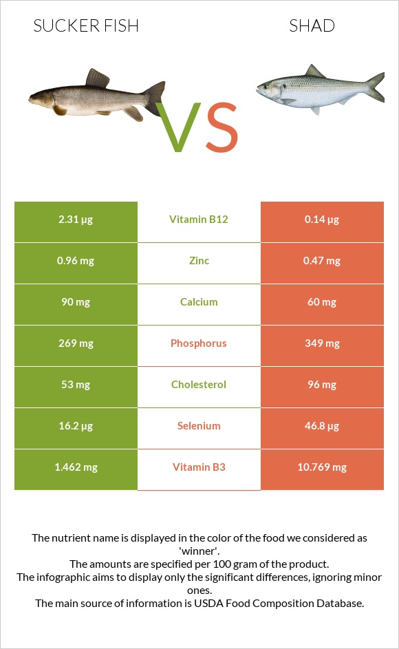 Sucker fish vs Shad infographic