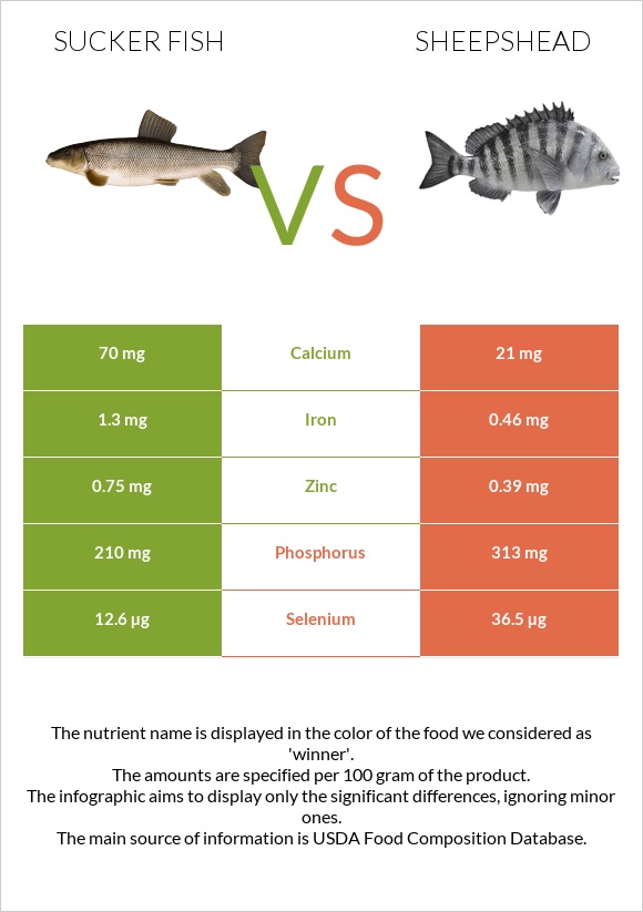 Sucker fish vs Sheepshead infographic