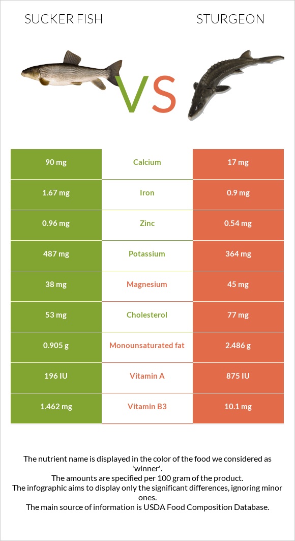 Sucker fish vs Sturgeon infographic