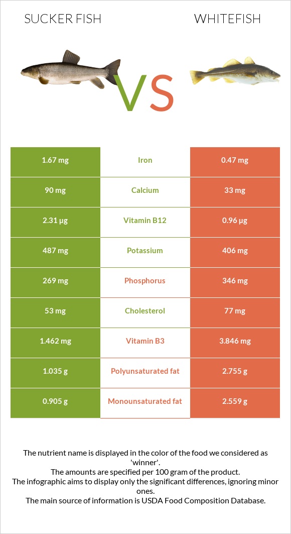 Sucker fish vs Whitefish infographic