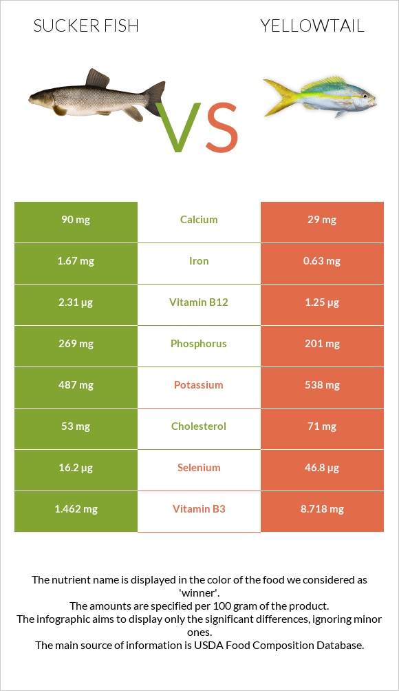 Sucker fish vs Yellowtail infographic