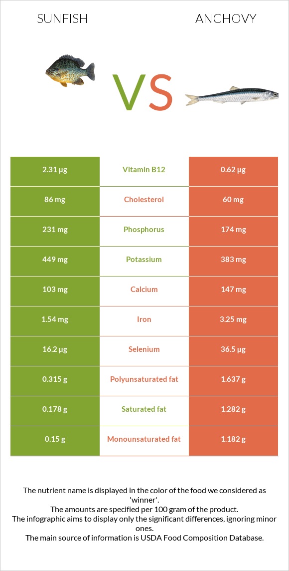 Sunfish vs Anchovy infographic