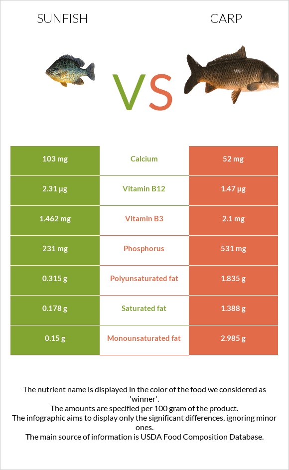 Sunfish vs Carp infographic