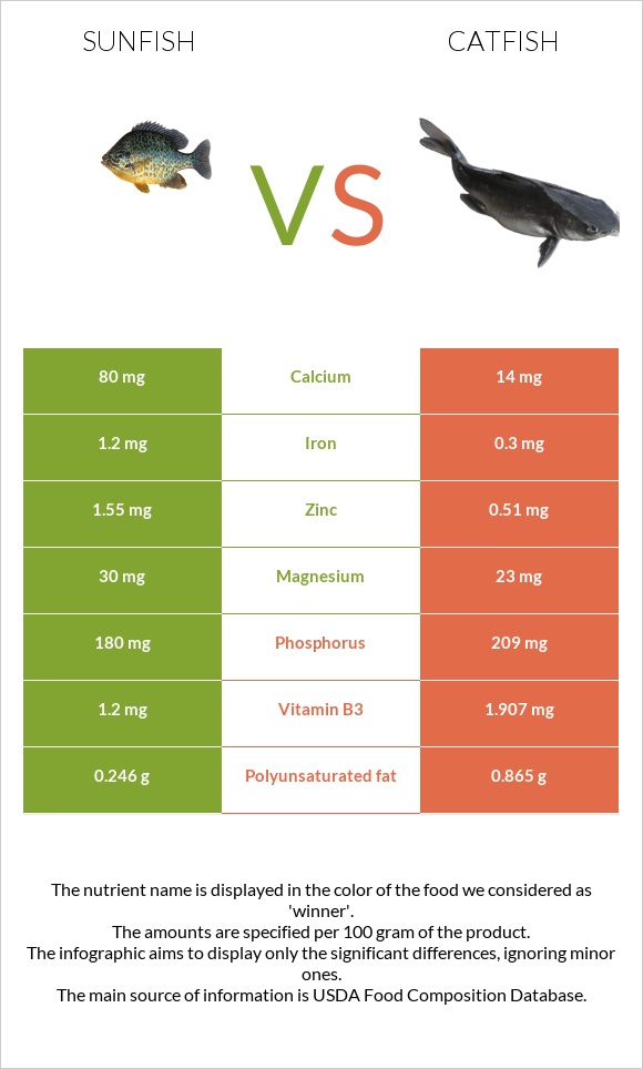Sunfish vs Catfish infographic