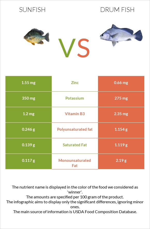 Sunfish vs Drum fish infographic