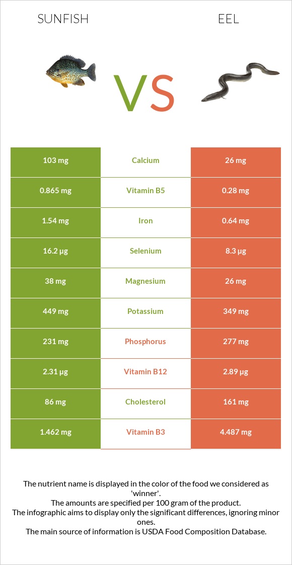 Sunfish vs Eel infographic
