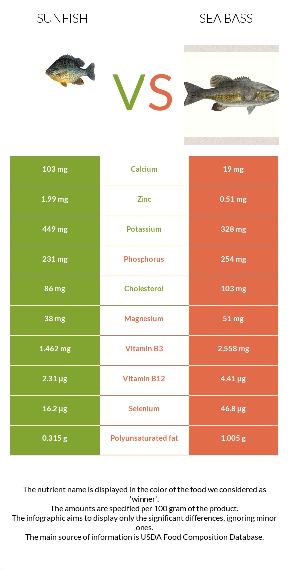 Sunfish vs Sea bass infographic