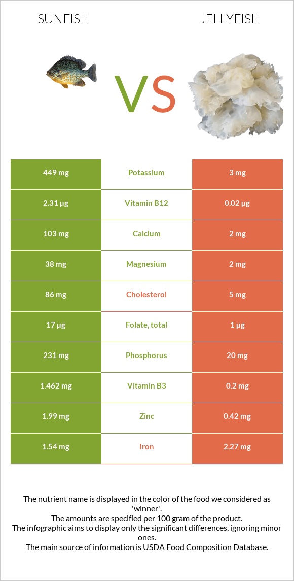 Sunfish vs Jellyfish infographic