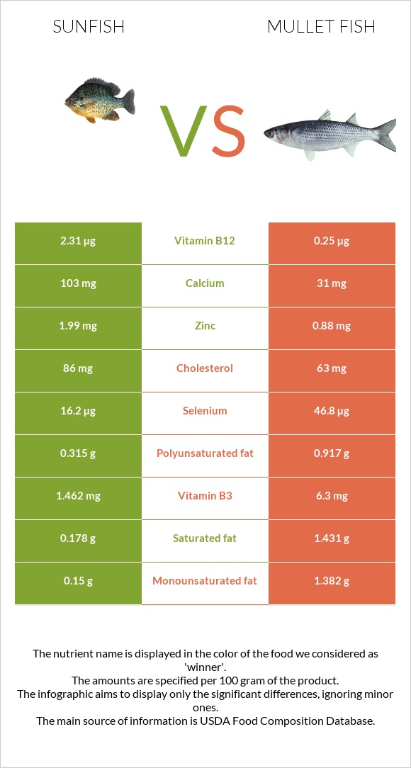 Sunfish vs Mullet fish infographic
