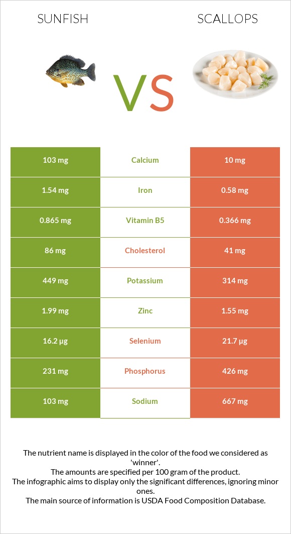 Sunfish vs Scallop infographic