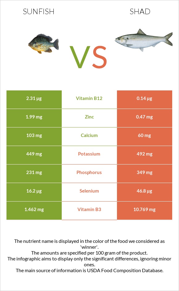 Sunfish vs Shad infographic