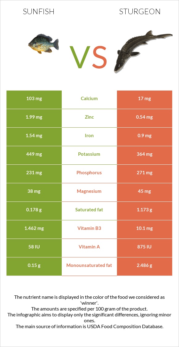 Sunfish vs Sturgeon infographic