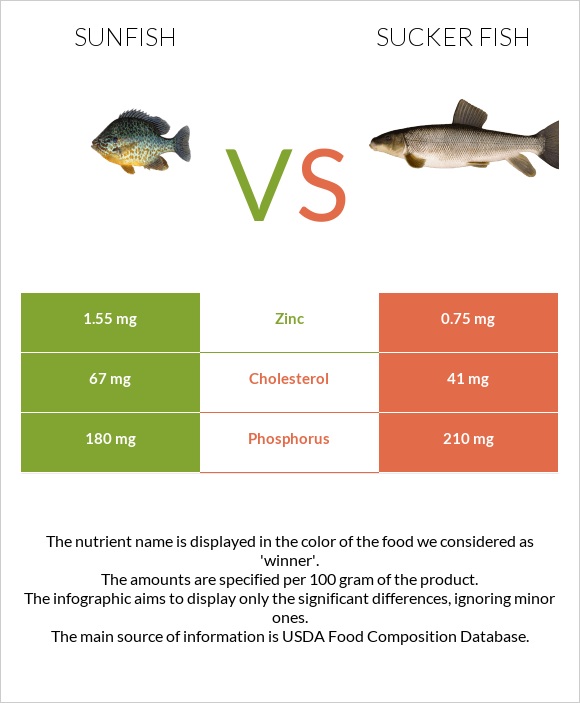 Sunfish vs Sucker fish infographic