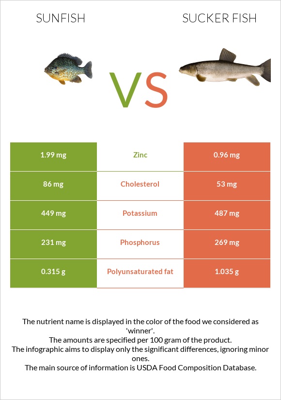 Sunfish vs Sucker fish infographic