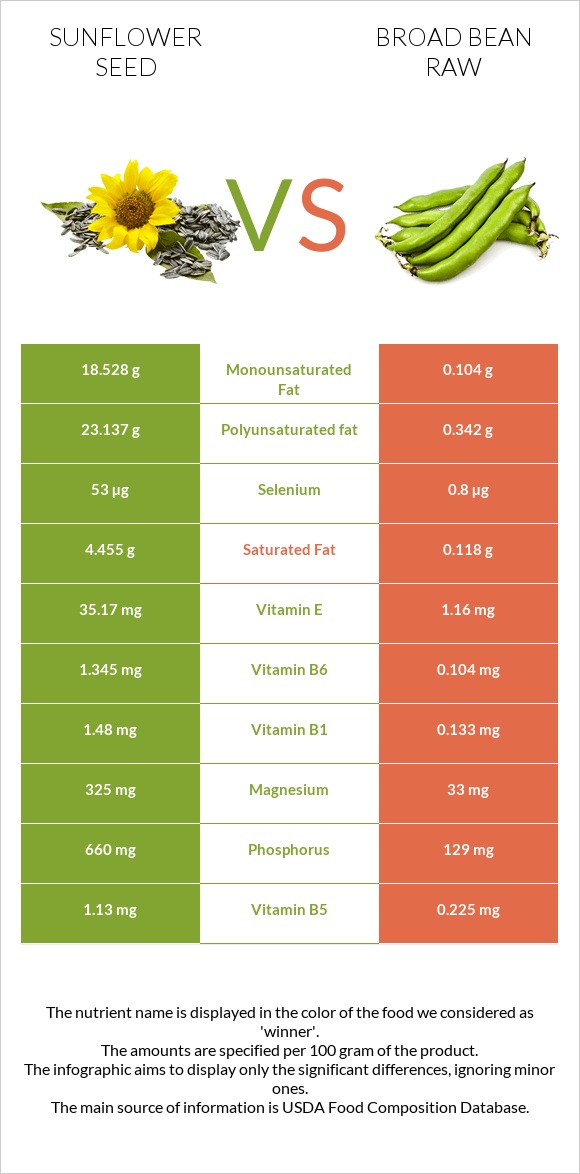 Sunflower seed vs Broad bean raw infographic