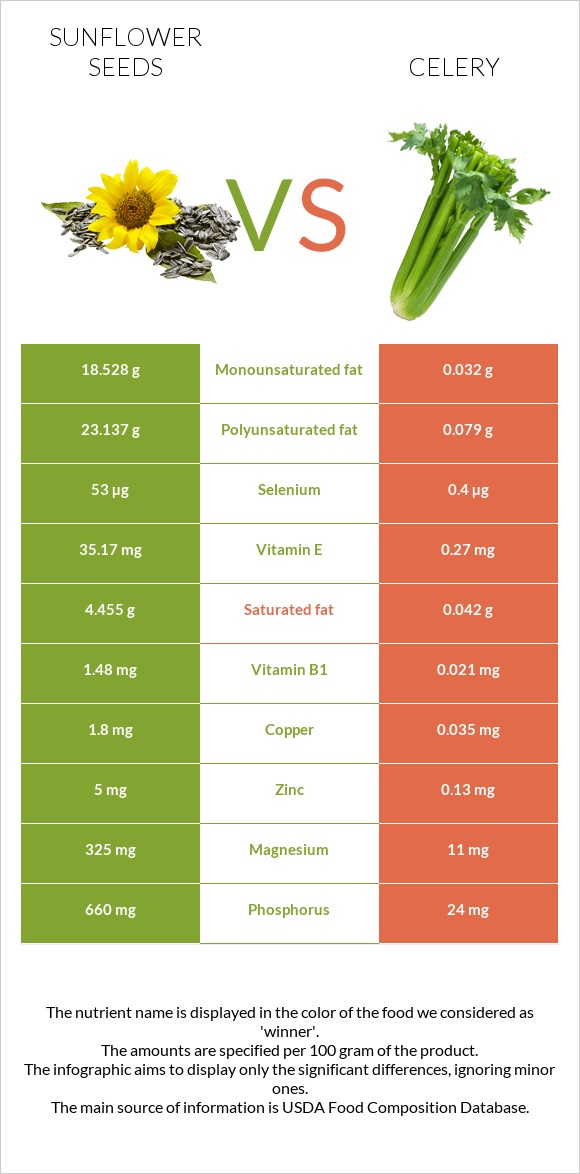 Sunflower seeds vs Celery infographic