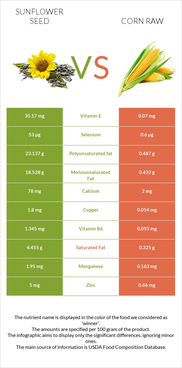 Sunflower seed vs Corn raw infographic