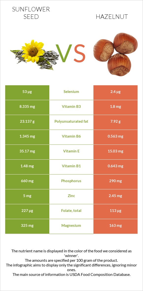 Sunflower seed vs Hazelnut infographic