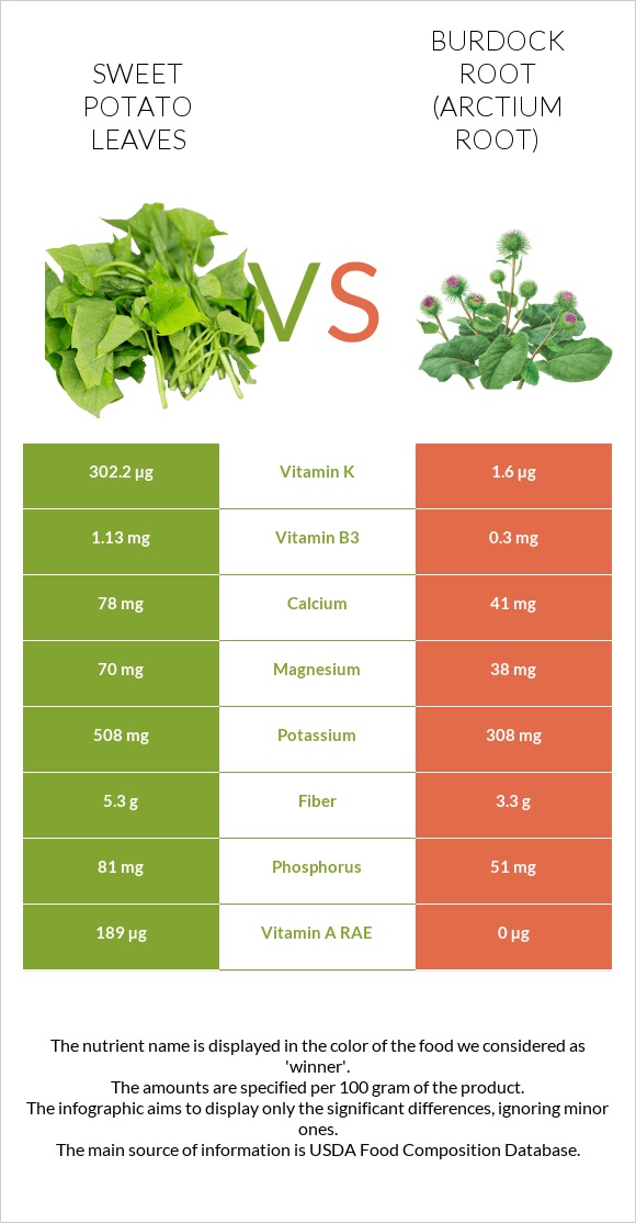 Sweet potato leaves vs Կռատուկի արմատ (արկտի արմատ) infographic