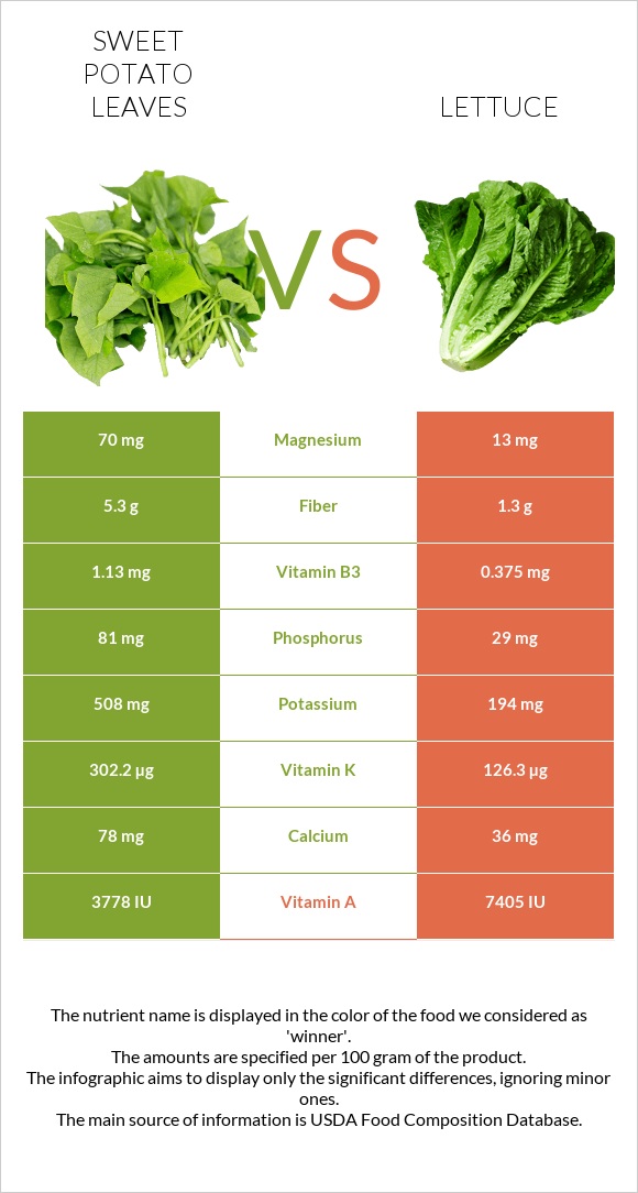 Sweet potato leaves vs Lettuce infographic