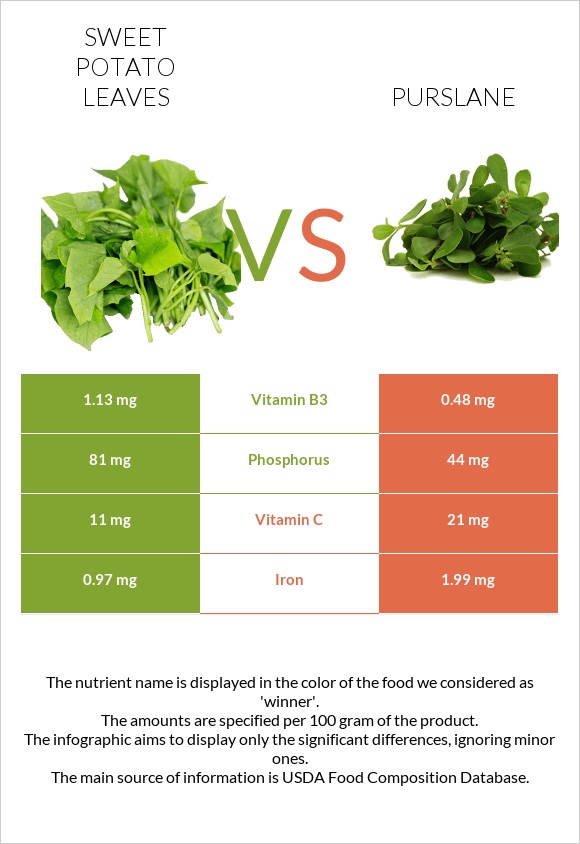 Sweet potato leaves vs Purslane infographic