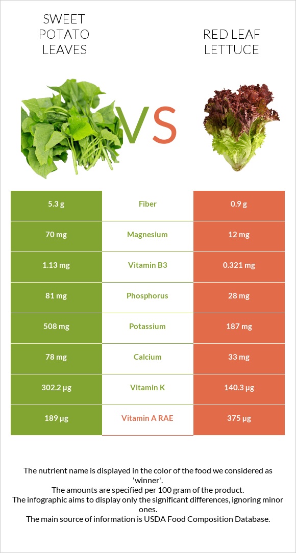 Sweet potato leaves vs Red leaf lettuce infographic